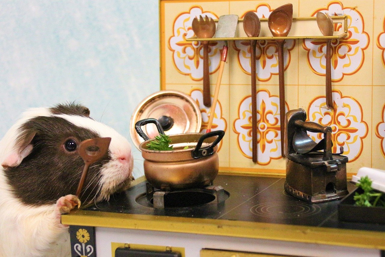 morce si vari veceri B